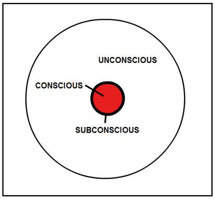 Un/Sub/Conscious